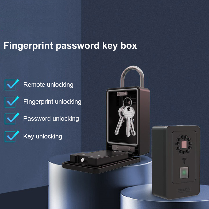 Intelligent Padlock Hang Desig - Home Security Box 评论和价格